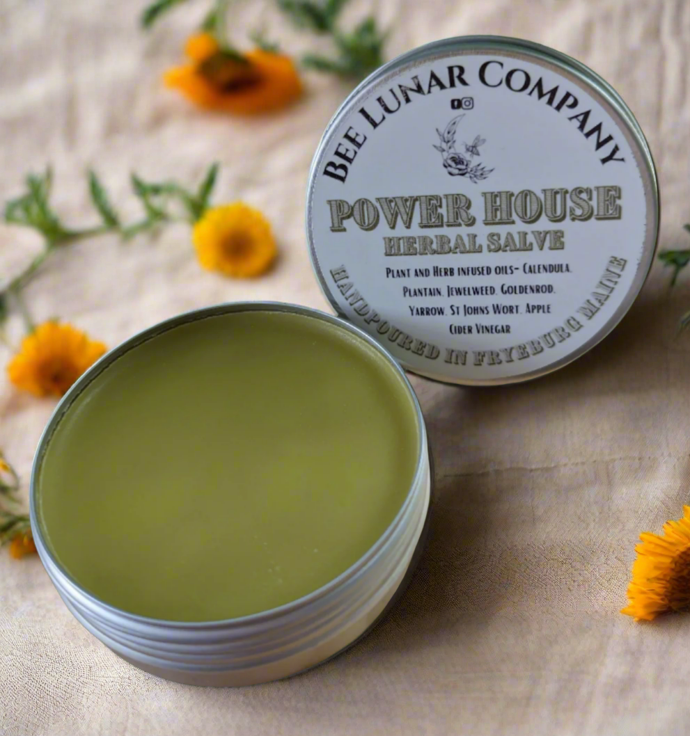 Powerhouse Herbal Salve - Bee Lunar Company